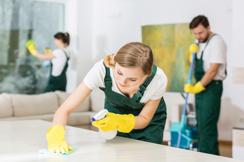 Putzhilfen sind echte Profis und wissen, welche Reinigungsmittel sich für welche Oberfläche eignen.